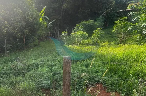 Sítio para venda e locação, 2 quarto(s), Pinheirinho, Caconde - Foto 19
