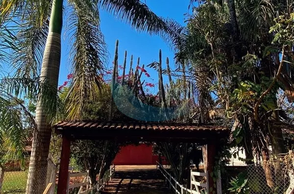 Sítio para venda,  - oportunidade- Bairro, Caconde - Foto 4