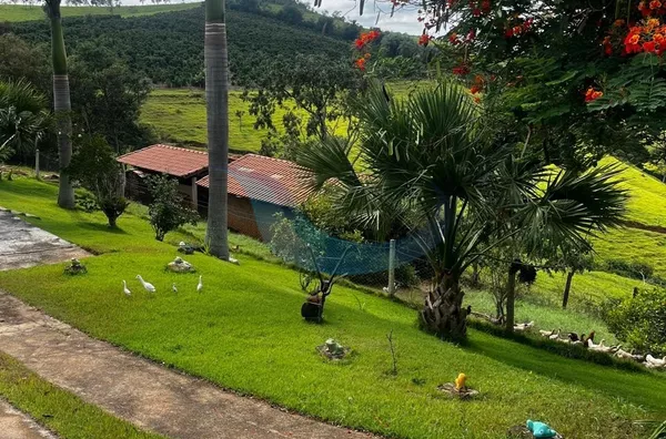 Sítio para venda, 4 quarto(s),  Bairro Bom Jesus, Caconde - Foto 1