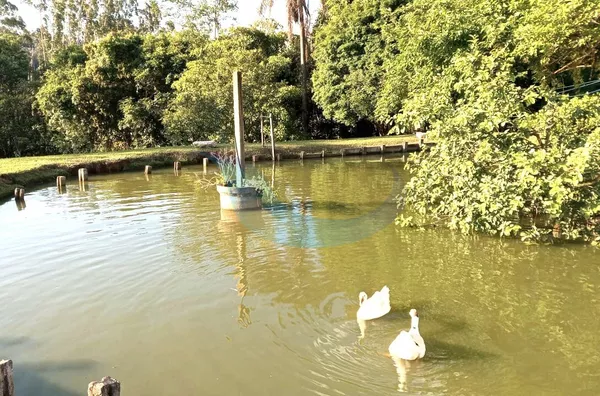 Sítio para venda, 4 quarto(s),  Bairro Bom Jesus, Caconde - Foto 2