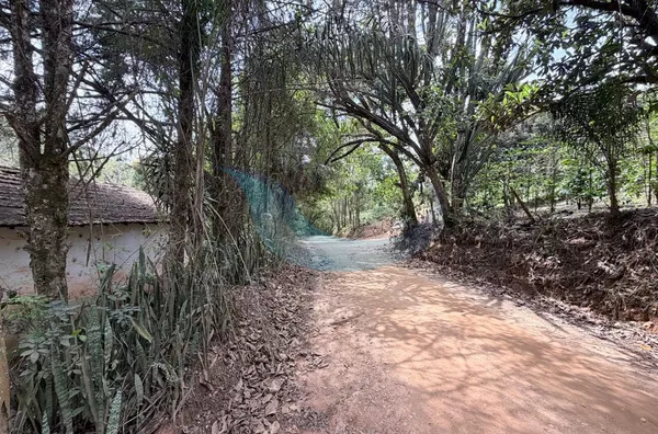 Chácara para venda, 2 quarto(s), Bocaina, Caconde - Foto 15