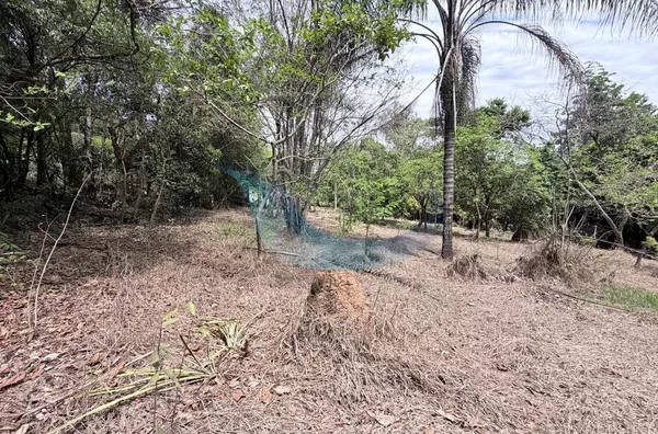 Chácara para venda, 2 quarto(s), Bocaina, Caconde - Foto 8
