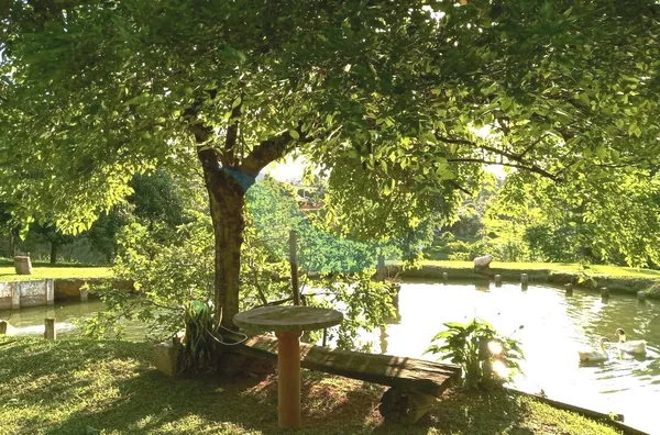 Sítio para venda, 4 quarto(s),  Bairro Bom Jesus, Caconde - Foto 5