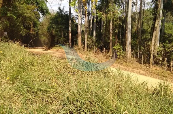 Vende-se sítio em ótíma performance situado no Bairro Bocaina - Foto 1