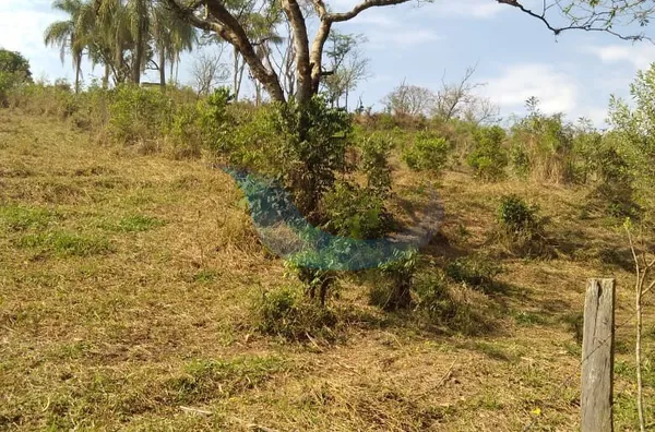 Vende-se sítio em ótíma performance situado no Bairro Bocaina - Foto 3