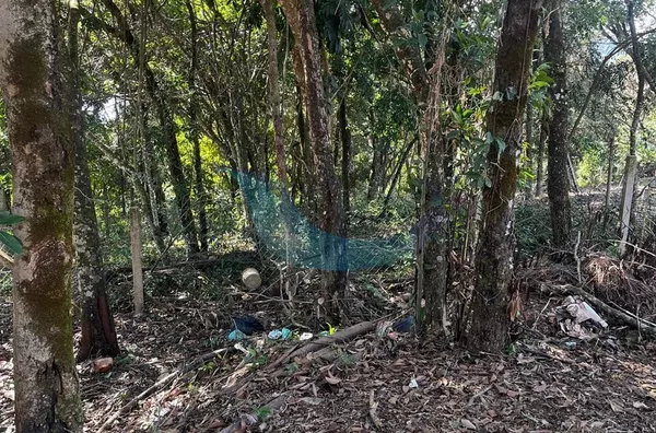 Chácara para venda,  Faisqueira, Caconde - Foto 3