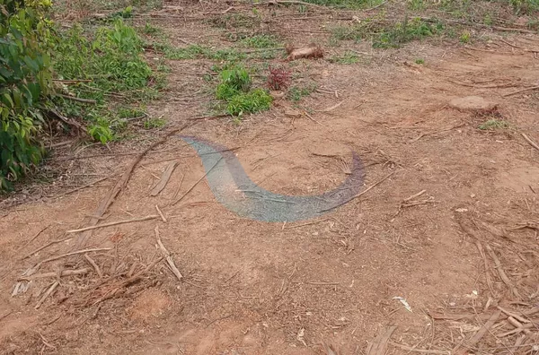 SÍTIO À VENDA EM MUZAMBINHO, COM CAFÉ E EUCALIPTO