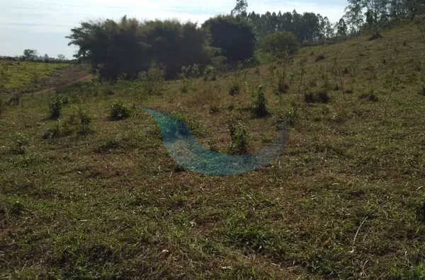 Vende-se sítio em ótíma performance situado no Bairro Bocaina - Foto 5