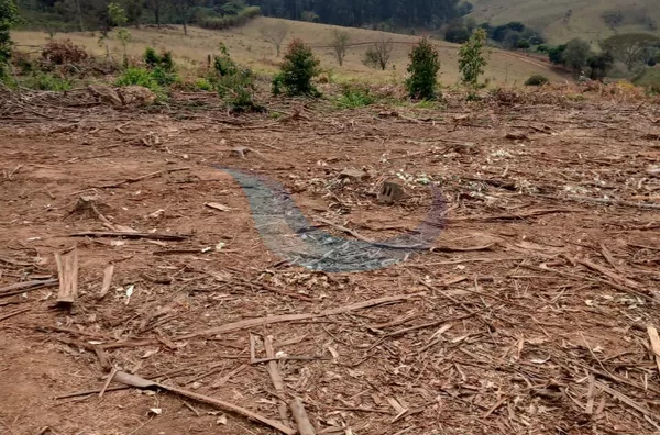 SÍTIO À VENDA EM MUZAMBINHO, COM CAFÉ E EUCALIPTO