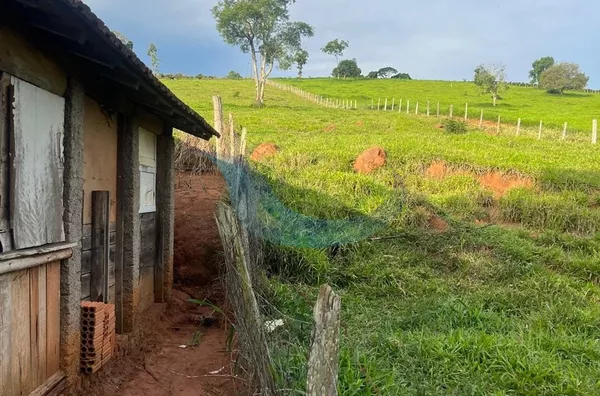 Sítio para venda e locação, 2 quarto(s), Pinheirinho, Caconde - Foto 28