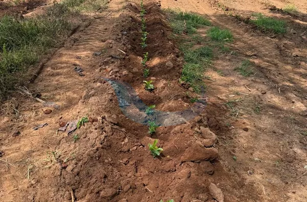FAZENDA PARA VENDA EM GUAPÉ