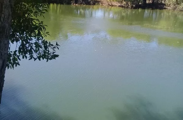 Fazenda para venda, 2 quarto(s),  , São Félix Do Araguaia