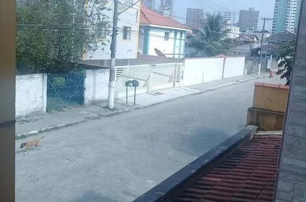 Sobrado para venda, 2 quarto(s),  Canto Do Forte, Praia Grande - Foto 1