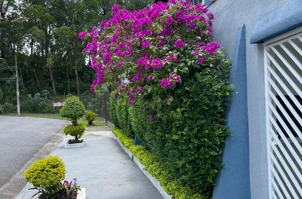 Sobrado para venda, 4 quarto(s),  Jardim Las Vegas, Santo Andre - Foto 3