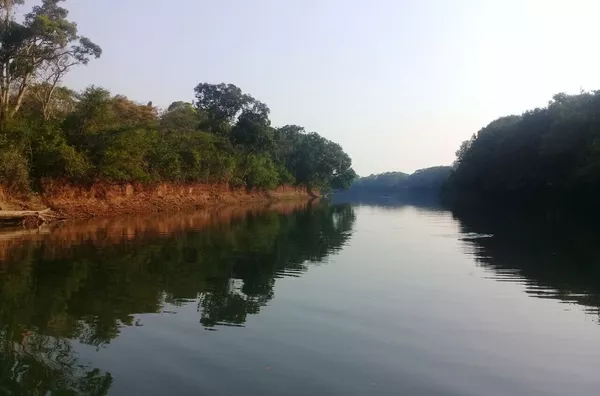 Fazenda para venda, 2 quarto(s),  , São Félix Do Araguaia