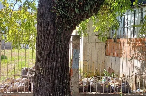 Terreno para venda,  Vila Humaitá, Santo Andre - Foto 2