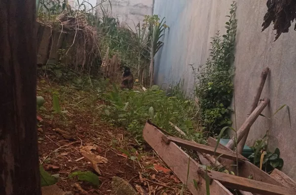 Terreno para venda,  Parque Marajoara, Santo Andre - Foto 2