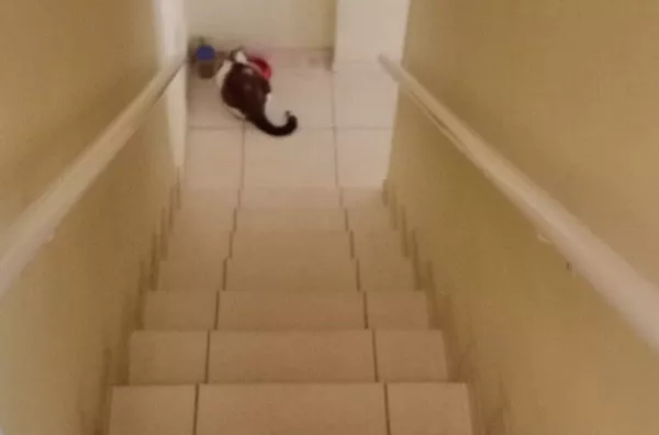 Sobrado para venda, 3 quarto(s),  Cidade Sao Jorge, Santo Andre - Foto 4