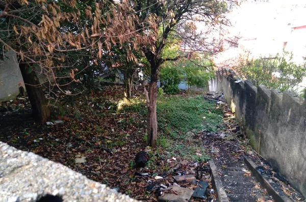 Terreno para venda,  Vila Eldízia, Santo Andre - Foto 2