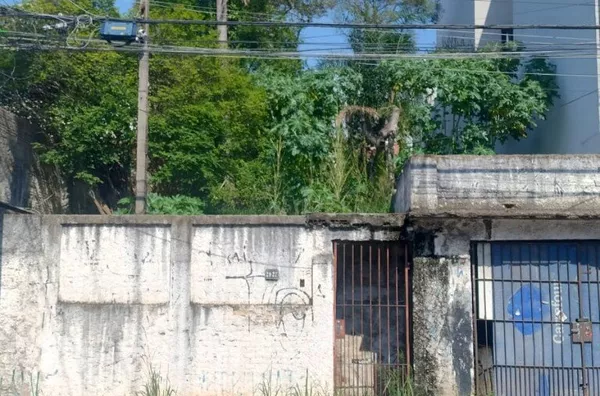 Terreno para venda, Campestre, Santo Andre - Foto 3
