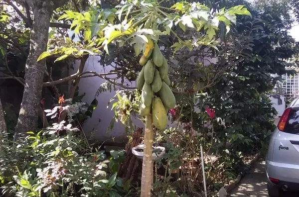 CASA TERREO(A) para venda CAXANGÁ SUZANO - Foto 3