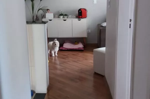 APARTAMENTO NORMAL para venda Vila Pires SANTO ANDRE - Foto 4