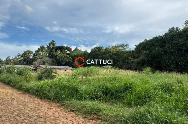TERRENOS A VENDA VILA VERDE 