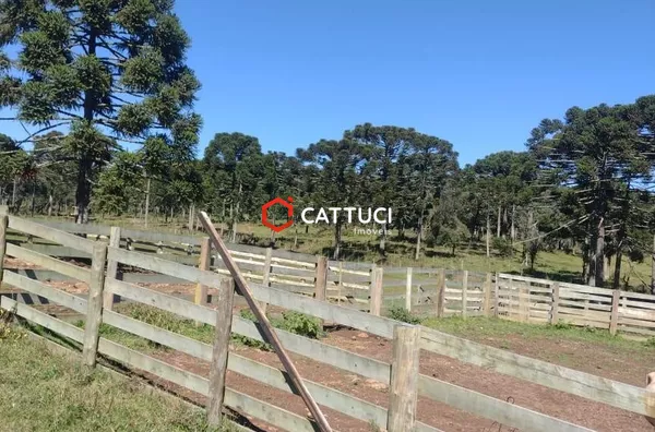 FAZENDA PARA VENDA EM CORONEL DOMINGOS SOARES 