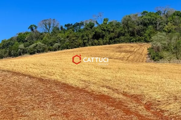 CHACARA A VENDA EM PATO BRANCO