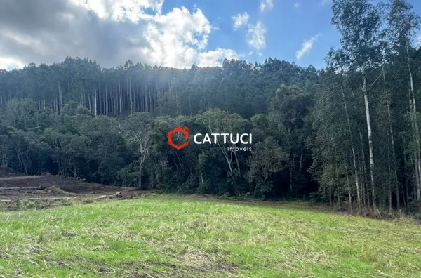CHACARA SEM BENFEITORIAS A VENDA EM PATO BRANCO