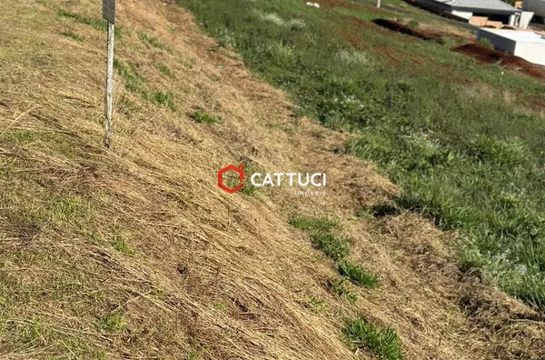 TERRENO PARA VENDA NO SÃO FRANCISCO