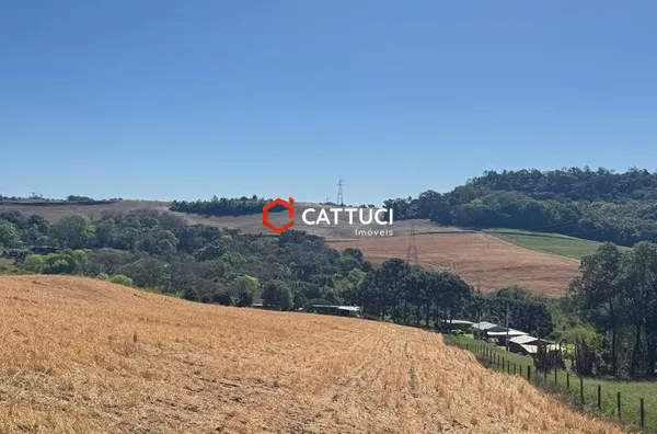 CHACARA A VENDA EM PATO BRANCO