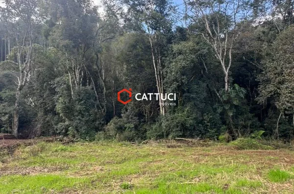 CHACARA SEM BENFEITORIAS A VENDA EM PATO BRANCO