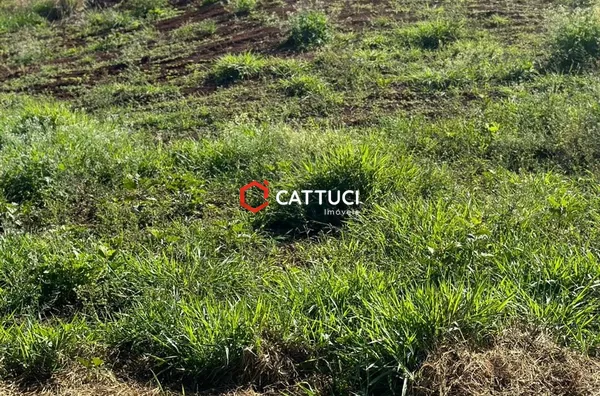 TERRENO PARA VENDA NO SÃO FRANCISCO