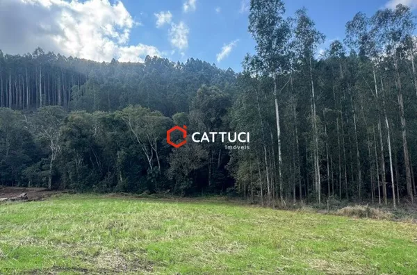 CHACARA SEM BENFEITORIAS A VENDA EM PATO BRANCO