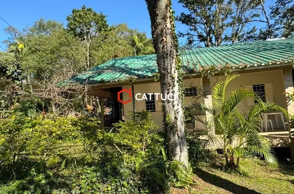 CHACARA A VENDA EM PALMEIRINHA 