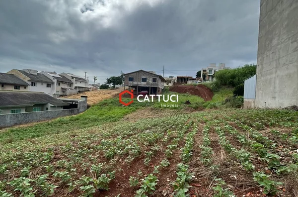 Terreno para venda,  Vila Isabel, Pato Branco