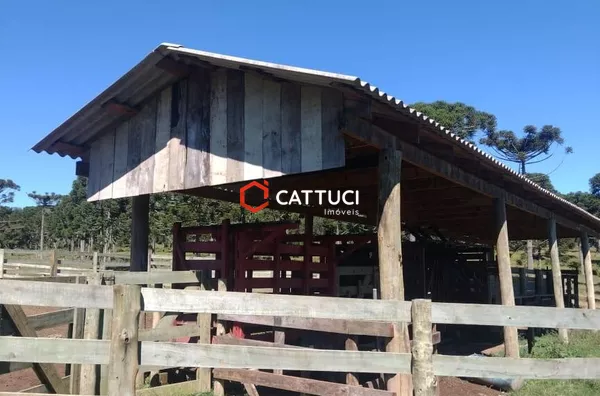 FAZENDA PARA VENDA EM CORONEL DOMINGOS SOARES 
