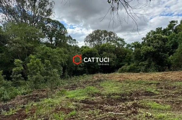 TERRENO A VENDA NO PAGNONCELLI 
