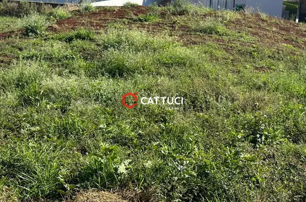 TERRENO PARA VENDA NO SÃO FRANCISCO