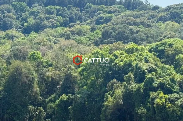 CHACARA A VENDA NAS CANDEIAS 