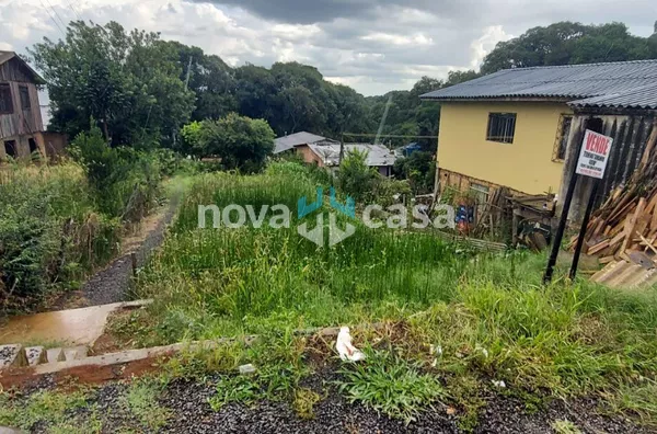 Terreno para venda,  Martello, Caçador - Foto 5