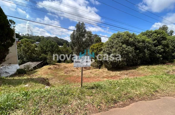 Terreno para venda,  Industrial, Caçador - Foto 1