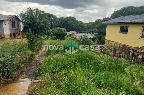 Terreno para venda,  Martello, Caçador - Foto 2