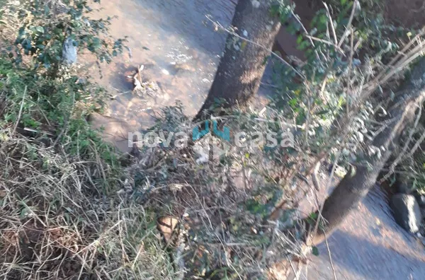 Sítio para venda,  Interior, Xanxerê - Foto 4