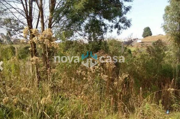 Terreno para venda,  Martello, Caçador - Foto 1