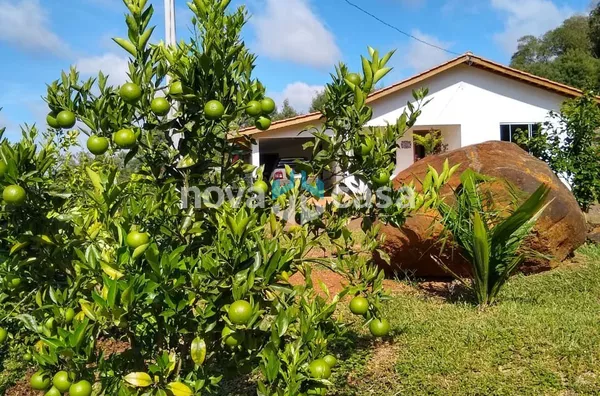 Sítio para venda,  área Rural De Caçador, Caçador - Foto 6