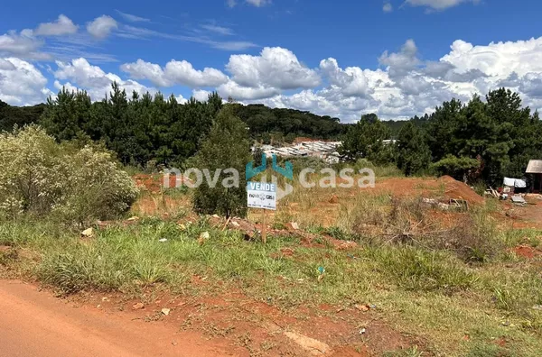 Terreno para venda,  Martello, Caçador - Foto 5