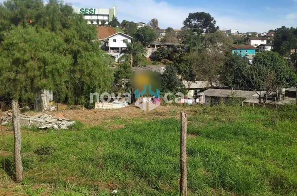 Terreno Alto Bonito Caçador - Foto 5