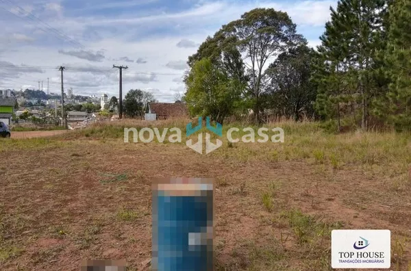 Terreno berger Caçador - Foto 6